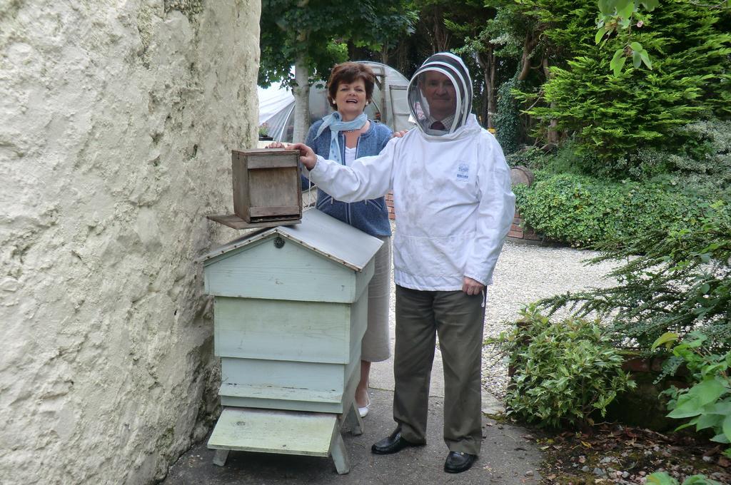 Westbrook House B & B Buncrana Eksteriør bilde